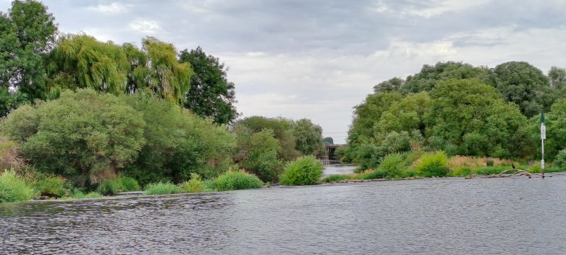 20260804_110659